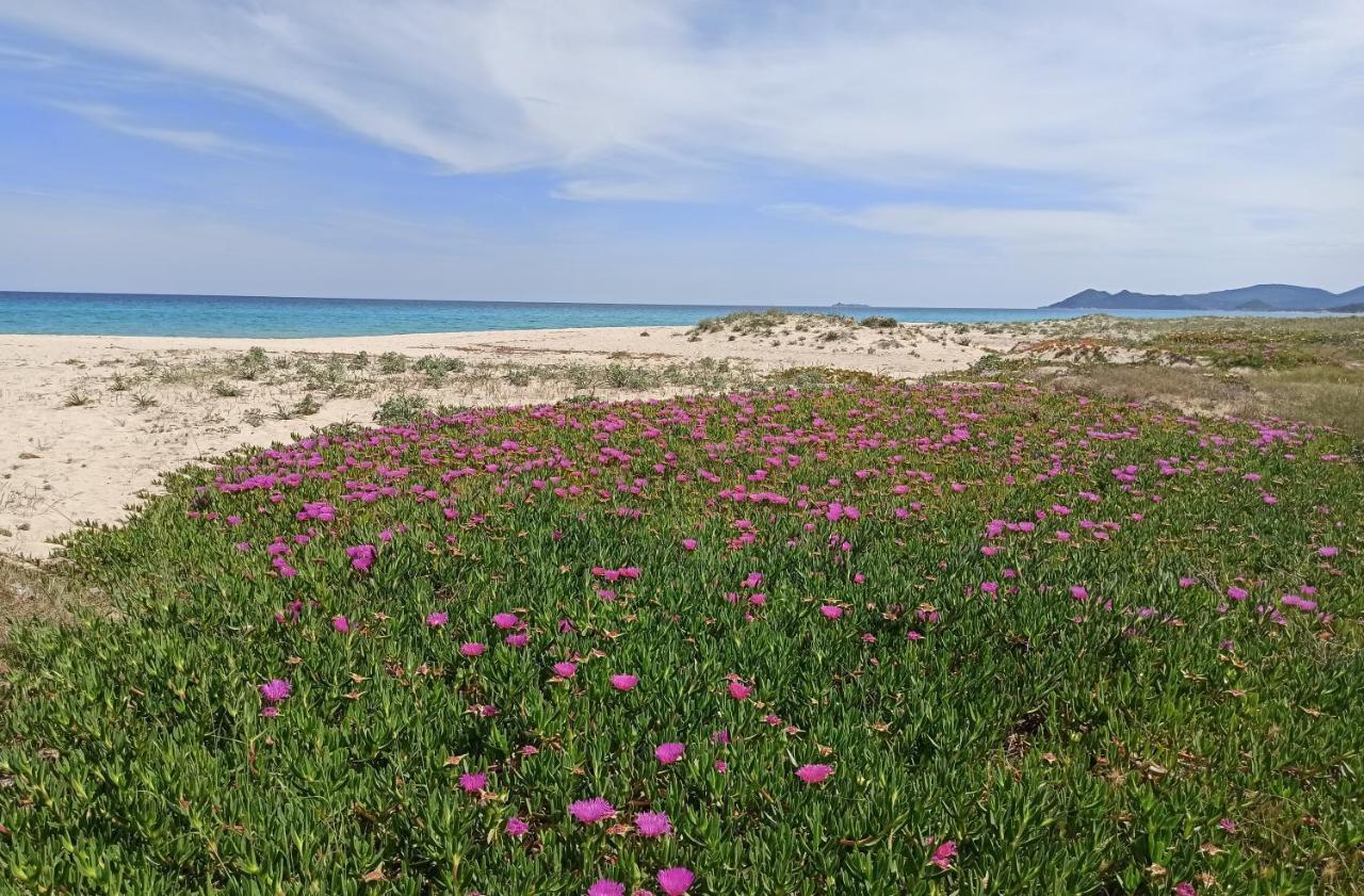 קוסטה ריי Casa Perla Rei - 50 Meters From The Beach מראה חיצוני תמונה